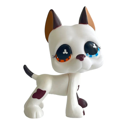 Rare pet toy Stands Short Hair Kitten Dog Dachshund Collie Spaniel Great Dane Original Bobble head toy lps Beauty World Shop