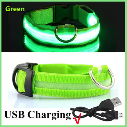 USB Rechargeable Luminous Collar Adjustable Led Glowing Dog Collar for Large Small Dogs Cat Night Light Collar Pet Safety Harnes Beauty World Shop
