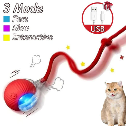 1~2Pcs Cat Interactive Ball Toys Automatic Rolling Ball Faux Tail Rechargeable Smart Pet Electric Toy Cat Training Imitate Mouse