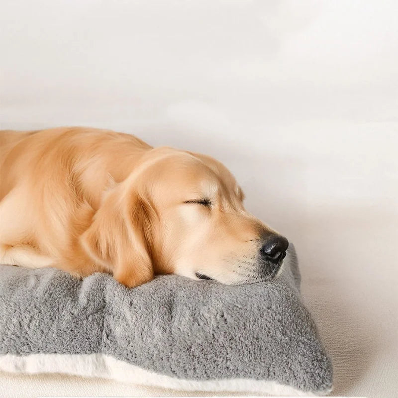 Extra Large Plush Dog Bed Sofa Thickened Super Soft Polyester Pet Mat Dog Crate Mat Bed For Small Medium Large Dog Bed Beauty World Shop