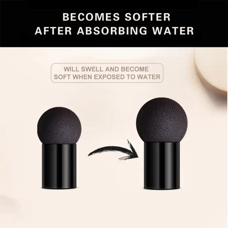 OCHEAL Mushroom Head BB Cream Foundation Cream for Face Makeup Concealer Cushion for Face Base Cream Makeup Cushion Compact Beauty World Shop