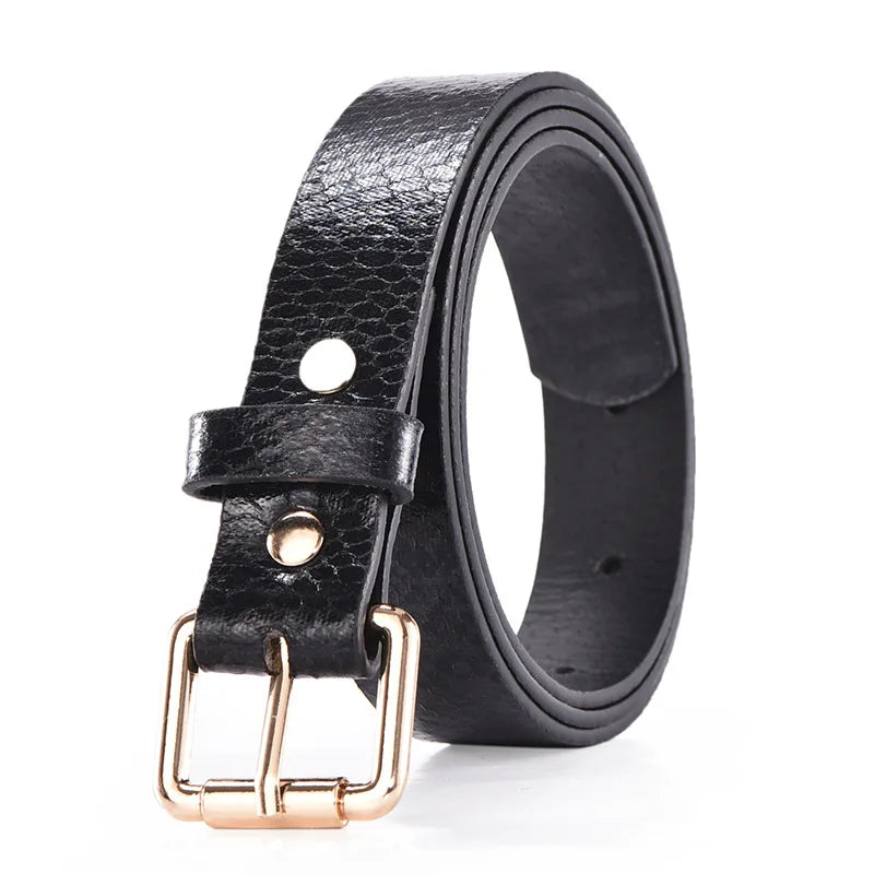 Hot Sale New Fashion Customized PU Leather Leopard Snake Print Slim Belt For Women Beauty World Shop
