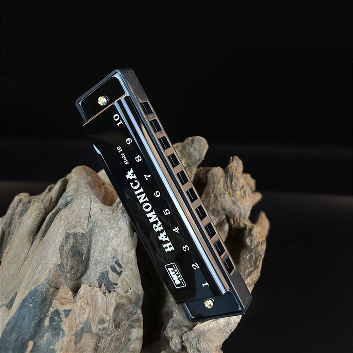 Harmonica Key of C 10 Hole Diatonic Harmonica C with Case for Beginner Students Kids Gift with Case Beauty World Shop