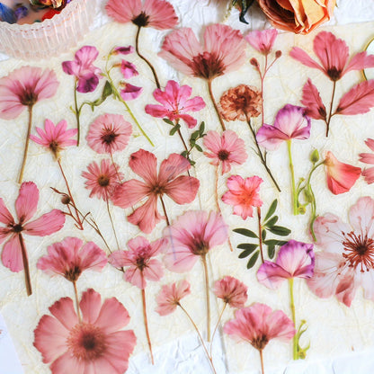 Journamm 50Pcs Transparent Decoration Flower Stickers for Scrapbooking PET Floral Stickers for Journaling Scrapbooking Beauty World Shop