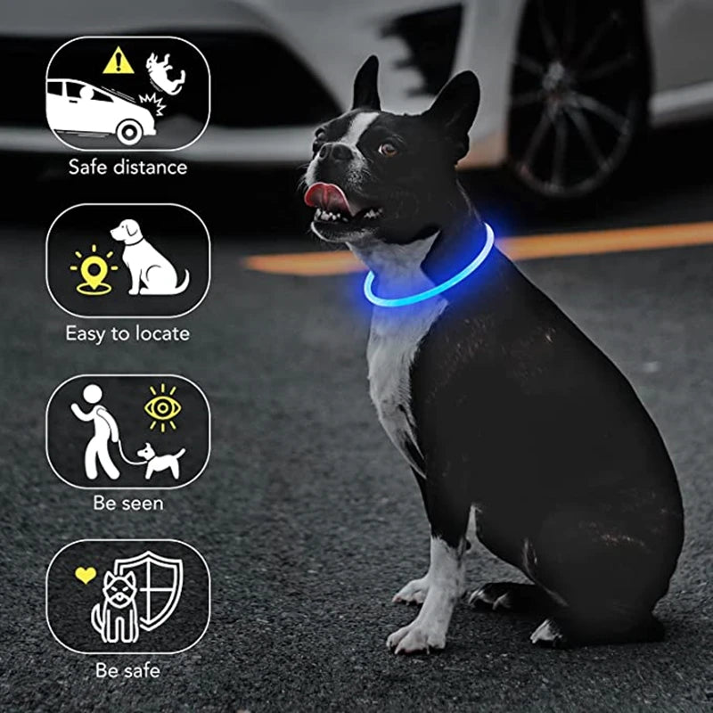 Luminous Dog Collar Light Charge Cat Necklace, Led Fashion Flashing DIY Glowing Safety Collar for Dogs Nighttime Pet Accessorie Beauty World Shop