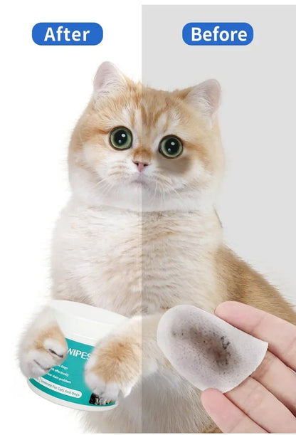 Pet Cleaning Products Eye Wipes To Remove Tear Marks Cleaning Wet Tissues Cat Wiping Eyes Removing Tear Marks and Cleaning Pet Beauty World Shop