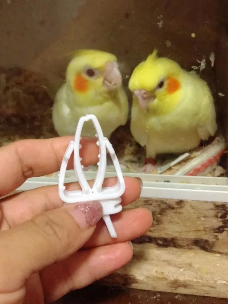 Cute Small Pet Bird Food Holder Parrot Fruits Vegetables Clip Cuttlefish Bone Feeder Device Clamp Bird Cage Accessories Oiseaux Beauty World Shop