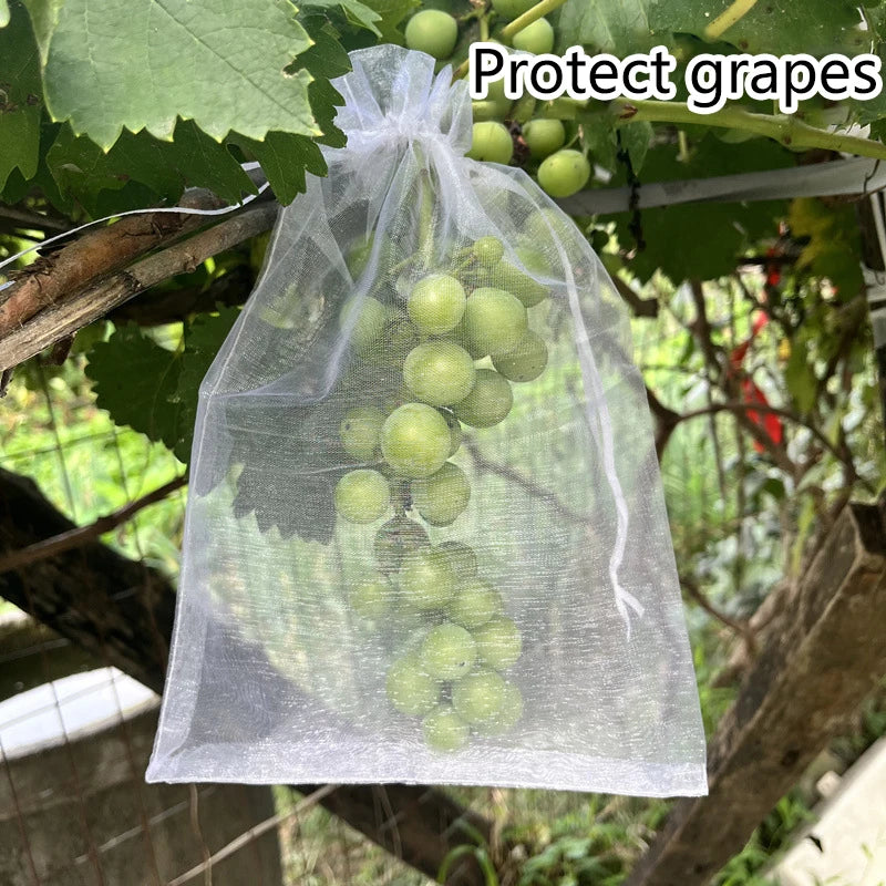 50Pcs Grapes Fruit Protection Bags Pest Control Anti-Bird Garden Netting Bags Mesh Agricultural Tree Garden Tool Bags Beauty World Shop