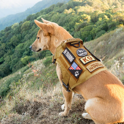 1 Piece Dog Patch for Service Dog Vest Cat Vest Removable Tactical Harness Service Dog Puppy Training Embroidered Patch