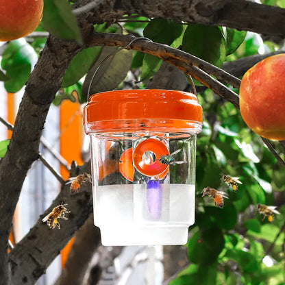 Clear Plastic Outdoor Insect Trap with Lid - Effective for Catching Fruit Flies, Wasps, Transparent Design for Easy Monitoring Beauty World Shop