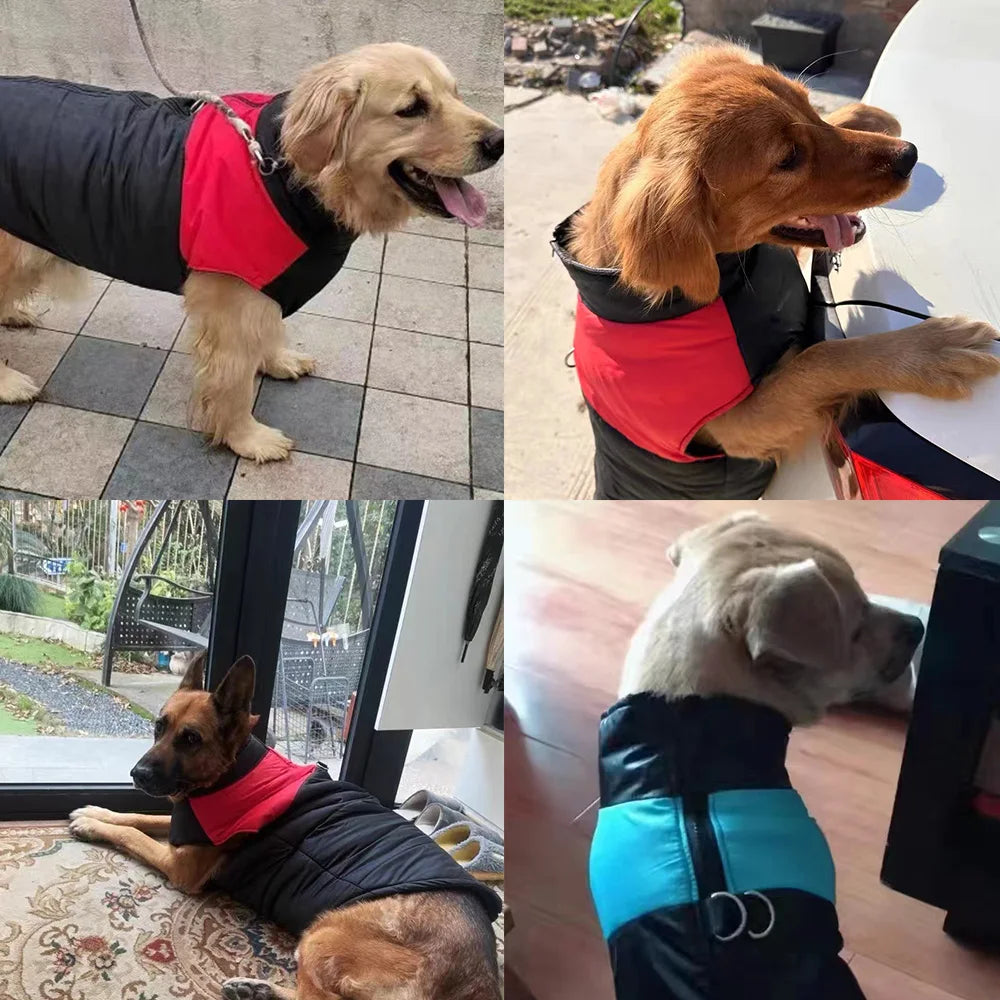 Waterproof Pet Dog Coat Vest For Small Large Dogs Winter Warm Puppy Clothes with D-ring Kitten Costume Golden Retriever Jacket