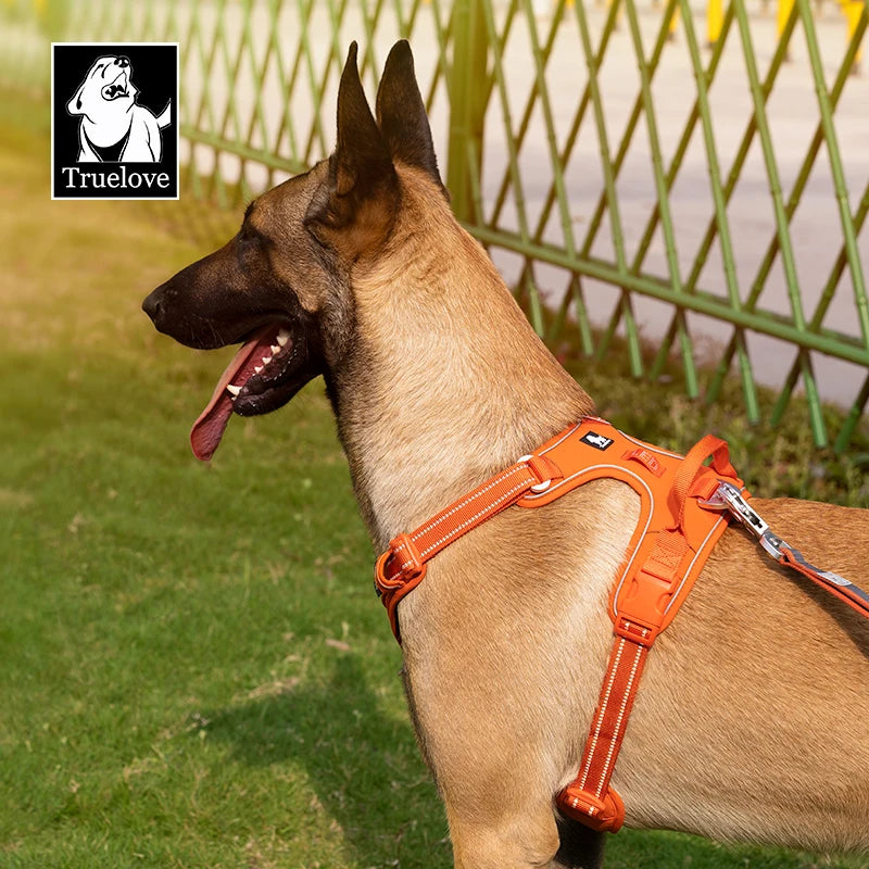 TRUE LOVE Pet Harness No Pull Nylon Reflective Dog Harness Adjustable Comfortable Control Step-in Brilliant Truelove TLH5654 Beauty World Shop