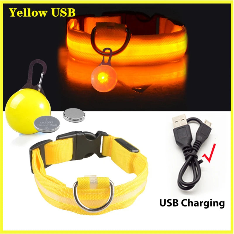 Usb Charging Glowing Dog Collar With Pendant Detachable Luxury Led Light Bright For Small Dogs Cat Night Safety Collar Wholesale Beauty World Shop