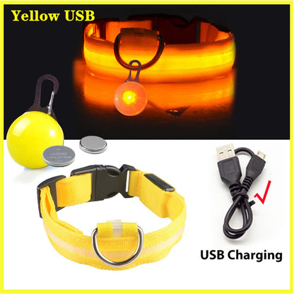 Usb Charging Glowing Dog Collar With Pendant Detachable Luxury Led Light Bright For Small Dogs Cat Night Safety Collar Wholesale Beauty World Shop