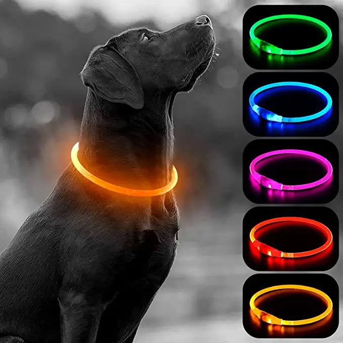 Luminous Dog Collar Light Charge Cat Necklace, Led Fashion Flashing DIY Glowing Safety Collar for Dogs Nighttime Pet Accessorie Beauty World Shop