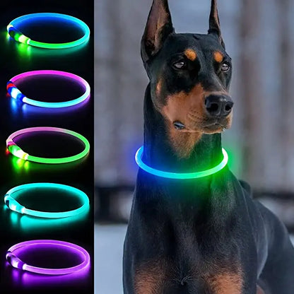 New Led Luminous Dog Collar PVC Waterproof , For Large Medium Small Dogs Collar Usb Light Night Safety Pet Glowing Accessories Beauty World Shop