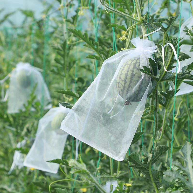 50Pcs Grapes Fruit Protection Bags Pest Control Anti-Bird Garden Netting Bags Mesh Agricultural Tree Garden Tool Bags Beauty World Shop