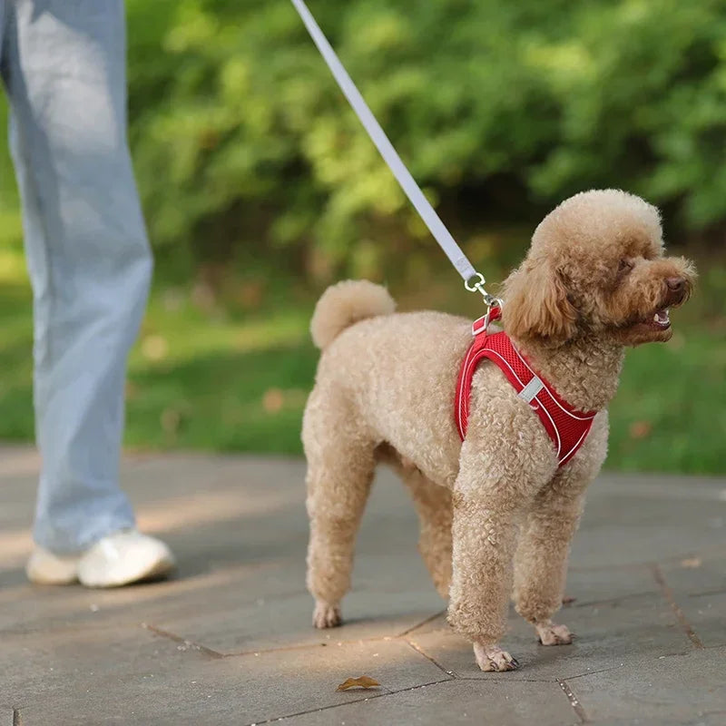 Puppy Harness Set Dog Accessories Adjustable Pet Vest Dogs French Bulldog Chihuahua Small Dog Collar Supplies Products Home Beauty World Shop
