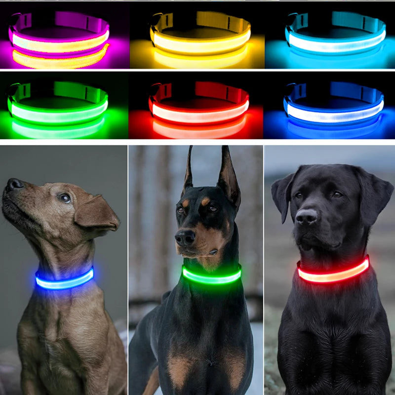 Usb Charging Glowing Dog Collar With Pendant Detachable Luxury Led Light Bright For Small Dogs Cat Night Safety Collar Wholesale Beauty World Shop