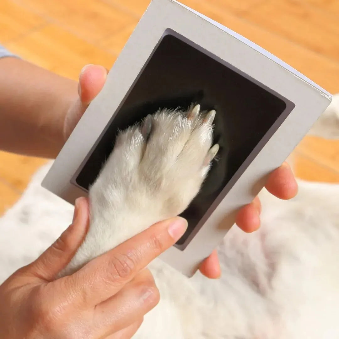 Paw Print Clean Touch Ink Pad, Dog Or Cat Pet Owner Keepsake, DIY Inkless Nose and Pawprint Impression Making Kit Beauty World Shop