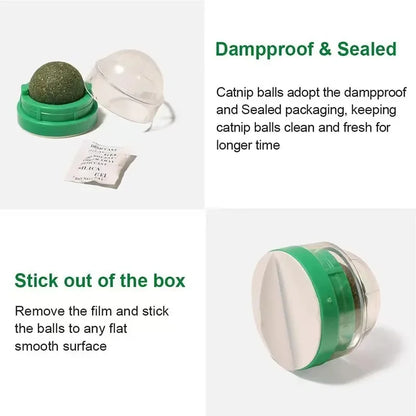 Catnip Cat Wall Stick-on Ball Toy Scratchers Treats Healthy Natural Removes Balls to Promote Digestion Cat Grass Snack Beauty World Shop