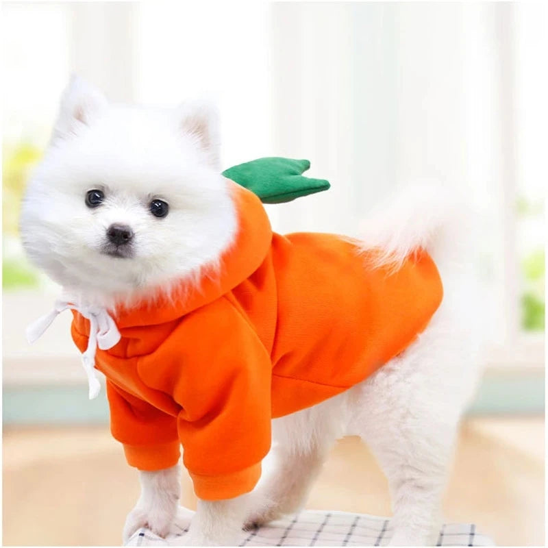 Cute Fruit Dog Clothes for Small Dogs hoodies Warm Fleece Pet Clothing Puppy Cat Costume Coat for French Chihuahua Jacket Suit Beauty World Shop