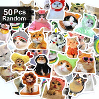 50pcs random