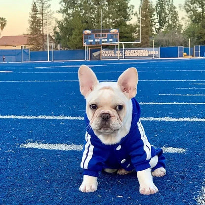 Pet Clothes French Bulldog Puppy Dog Pet Jumpsuit Chihuahua Pug Pets Dogs Clothing for Small Medium Dogs Puppy Outfit Beauty World Shop