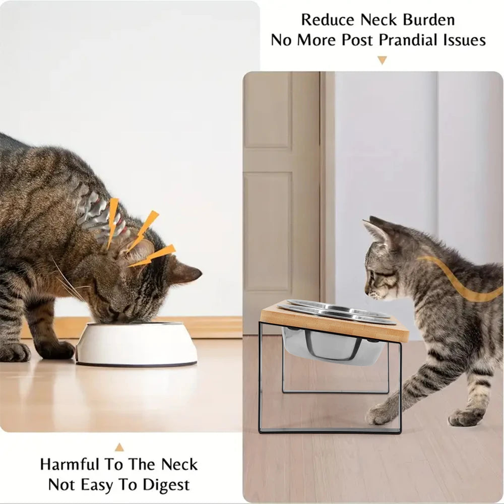 Elevated Cat Bowls 15° Tilted Raised Cat Food Bowls with Wooden Stand Anti Vomiting 2 Stainless Steel Bowls for Cats and Puppy Beauty World Shop