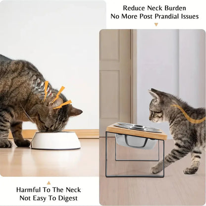 Elevated Cat Bowls 15° Tilted Raised Cat Food Bowls with Wooden Stand Anti Vomiting 2 Stainless Steel Bowls for Cats and Puppy Beauty World Shop