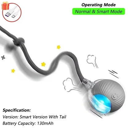 Cat Interactive Ball Toy, Automatic Rolling Ball with Tail, Rechargeable Smart Pet Interactive Toy, Intelligent Mouse for Cat Beauty World Shop