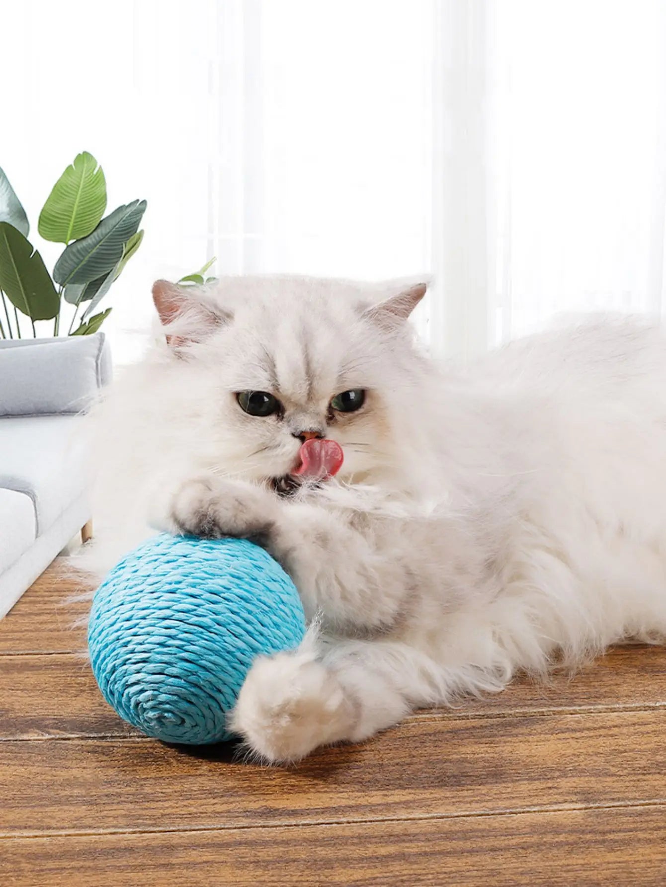 10CM Interactive Sisal Cat Scratching Ball Toy For Kitten Teeth Cleaning Anti Bite Cat Ball Sounding Toy Pet Supplies Beauty World Shop