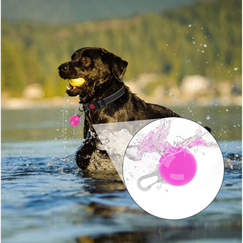 Usb Charging Glowing Dog Collar With Pendant Detachable Luxury Led Light Bright For Small Dogs Cat Night Safety Collar Wholesale Beauty World Shop