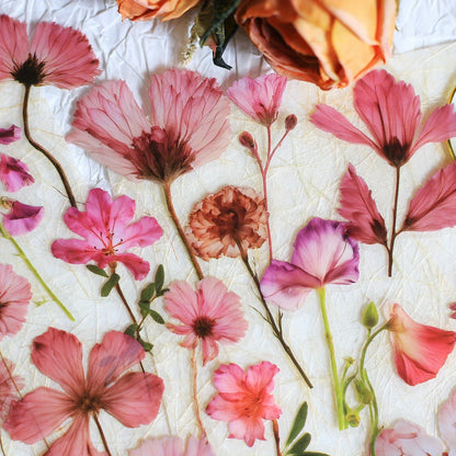 Journamm 50Pcs Transparent Decoration Flower Stickers for Scrapbooking PET Floral Stickers for Journaling Scrapbooking Beauty World Shop