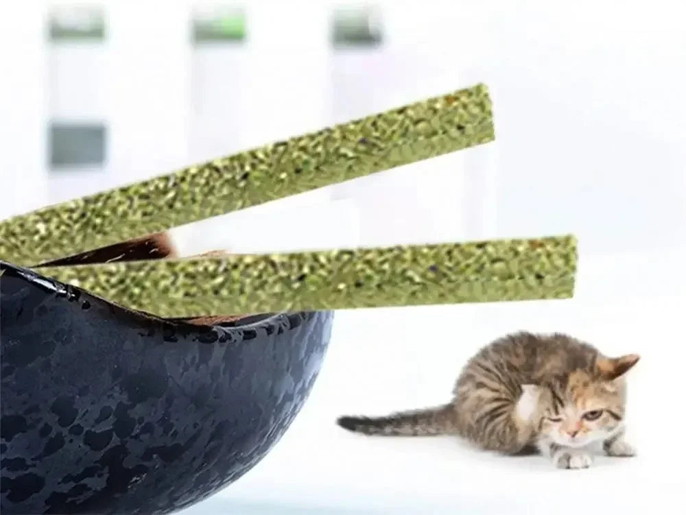 6pcs Natural Matatabi Cat Stick Mint Caught Bite Excited Rods Silvervine For Cat Teeth Cleaning Treating Pet Supply Cat Toys