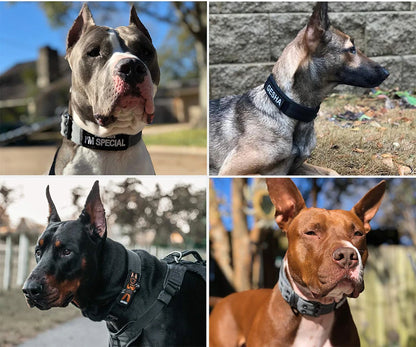 Tactical Dog Collar 1pc Durable Nylon Military Collars Outdoor For Medium Large Dogs Training Walking Working Pet Products Beauty World Shop