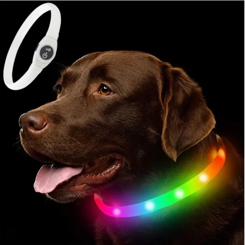 New Led Luminous Dog Collar PVC Waterproof , For Large Medium Small Dogs Collar Usb Light Night Safety Pet Glowing Accessories Beauty World Shop