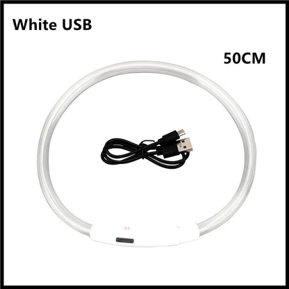 USB Rechargeable Luminous Collar Adjustable Led Glowing Dog Collar for Large Small Dogs Cat Night Light Collar Pet Safety Harnes Beauty World Shop