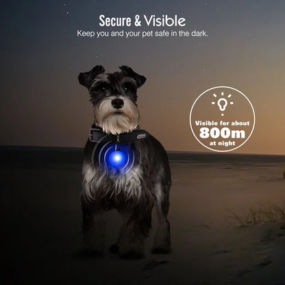 Usb Charging Glowing Dog Collar With Pendant Detachable Luxury Led Light Bright For Small Dogs Cat Night Safety Collar Wholesale Beauty World Shop