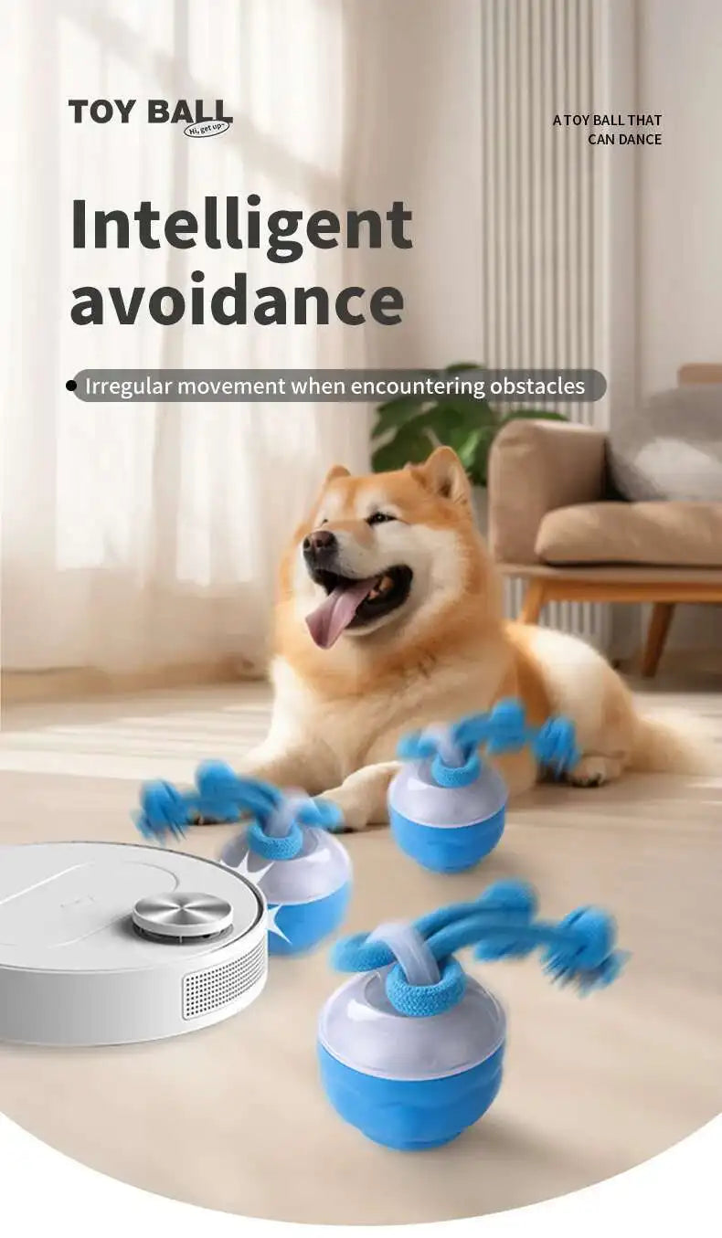 Interactive Dog Toys Smart Rolling Ball With Rope Motion Activated Automatic Moving Squeaky Dog Training Puppy Chew Toy Balls Beauty World Shop