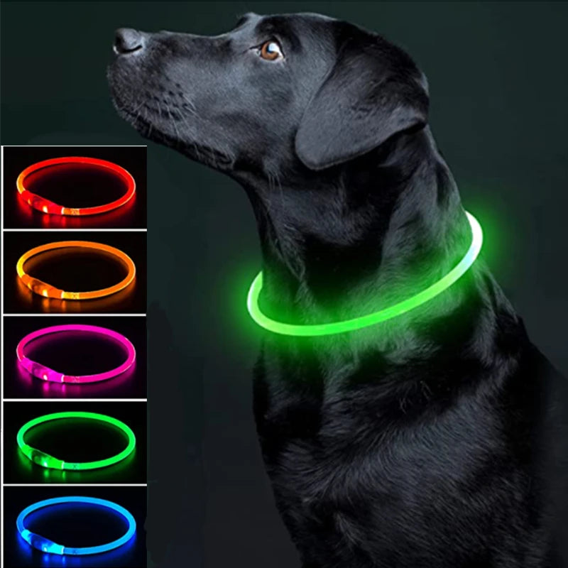 Luminous Dog Collar Light Charge Cat Necklace, Led Fashion Flashing DIY Glowing Safety Collar for Dogs Nighttime Pet Accessorie Beauty World Shop