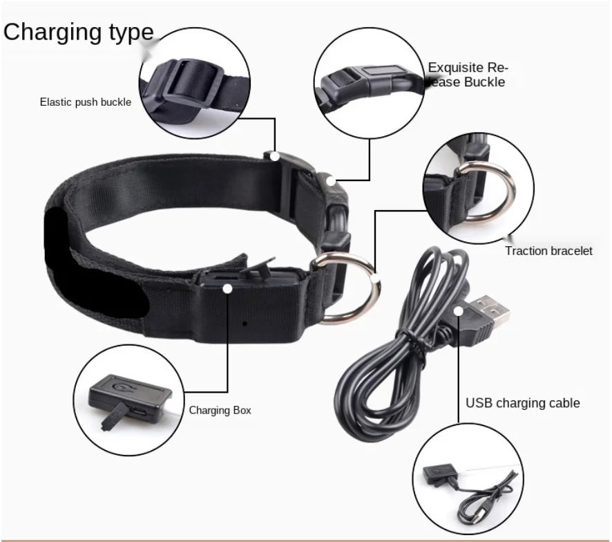 USB Rechargeable Luminous Collar Adjustable Led Glowing Dog Collar for Large Small Dogs Cat Night Light Collar Pet Safety Harnes Beauty World Shop