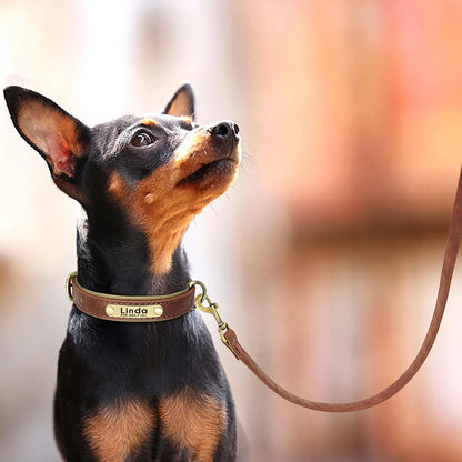 Customized Leather Dog Collar Leash Set Soft Padded Leather Collar For Small Medium Large Dogs With Free Engraved Nameplate Beauty World Shop