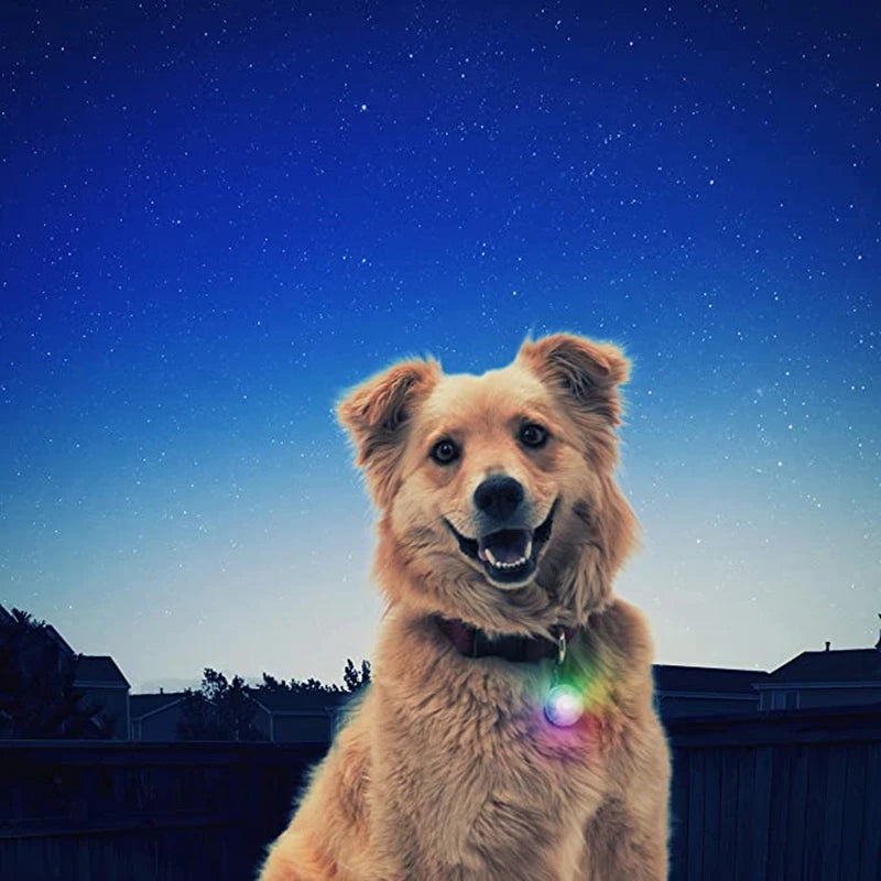 Usb Charging Glowing Dog Collar With Pendant Detachable Luxury Led Light Bright For Small Dogs Cat Night Safety Collar Wholesale Beauty World Shop