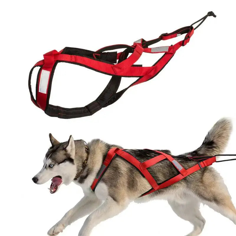 Dog Outdoor Sled Chest Strap Dog Weight Training Traction Strap Husky Samo Snowboard Traction Rope