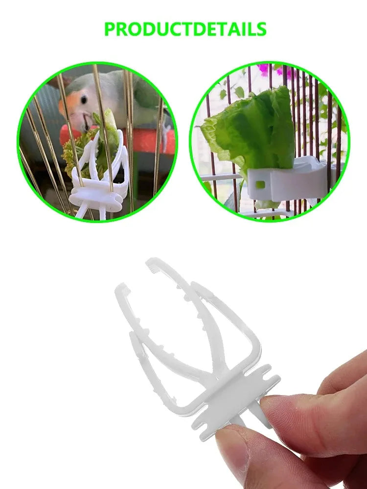 Cute Small Pet Bird Food Holder Parrot Fruits Vegetables Clip Cuttlefish Bone Feeder Device Clamp Bird Cage Accessories Oiseaux Beauty World Shop