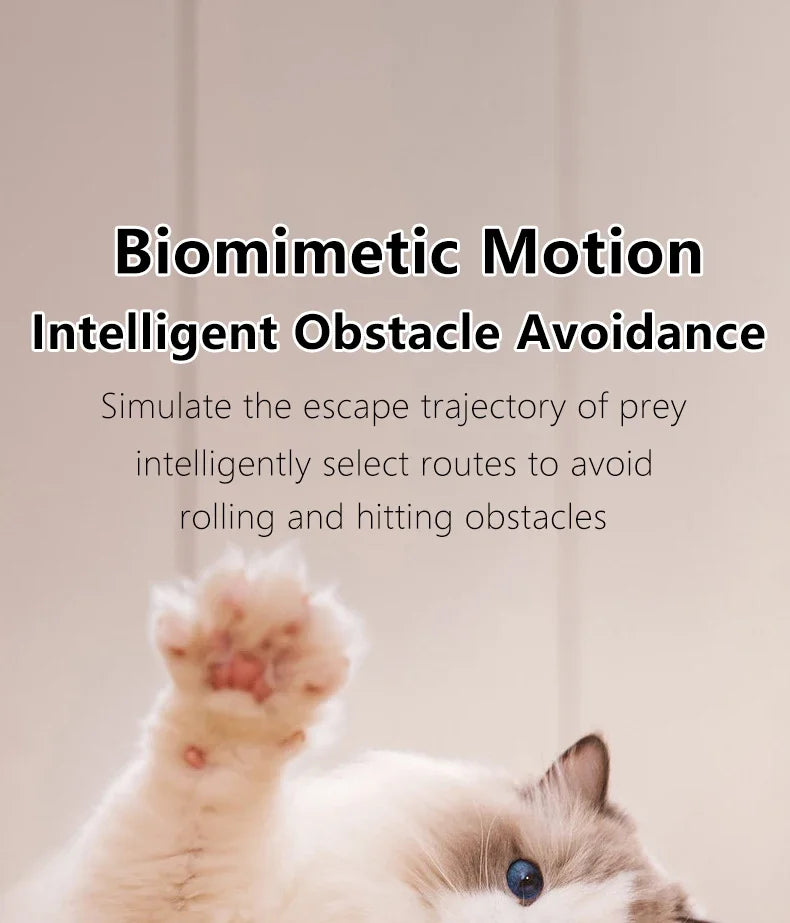 Spin Ball Things for Cats Toys Electric Interactive USB Charging Cat Ball Toy Cat and Dog Accessories Pet Cat's Supplies Home Beauty World Shop