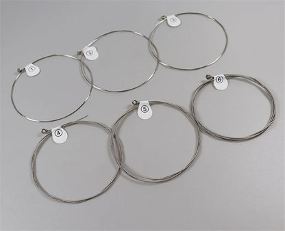 ZIKO DEG-009 Electric Guitar Strings Steel Core Surface Coating Nickel Extra Light Special Musical Instrument Accessorie Parts Beauty World Shop