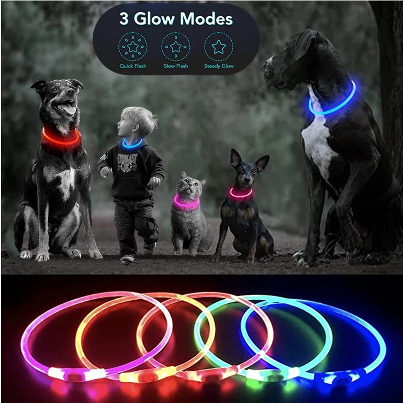 Luminous Dog Collar Light Charge Cat Necklace, Led Fashion Flashing DIY Glowing Safety Collar for Dogs Nighttime Pet Accessorie Beauty World Shop