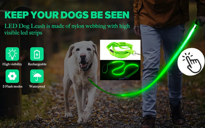 USB Rechargeable Luminous Collar Adjustable Led Glowing Dog Collar for Large Small Dogs Cat Night Light Collar Pet Safety Harnes Beauty World Shop